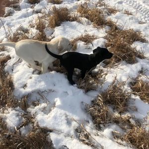 Meet your Posher, Lance